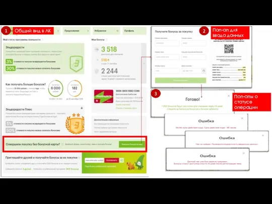 Общий вид в ЛК Поп-ап для ввода данных 1 2 3 Поп-апы о статусе операции