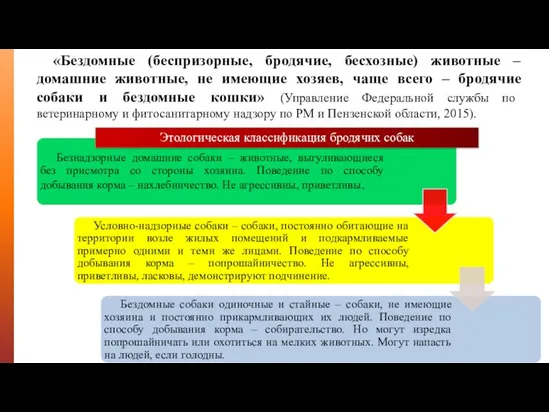 «Бездомные (беспризорные, бродячие, бесхозные) животные – домашние животные, не имеющие хозяев, чаще