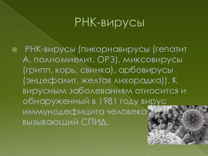 РНК-вирусы РНК-вирусы (пикорнавирусы (гепатит A, полиомиелит, ОРЗ), миксовирусы (грипп, корь, свинка), арбовирусы