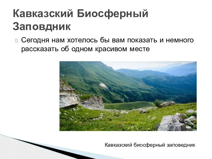 Сегодня нам хотелось бы вам показать и немного рассказать об одном красивом