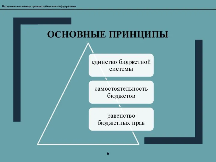 6 ОСНОВНЫЕ ПРИНЦИПЫ Назначение и основные принципы бюджетного федерализма