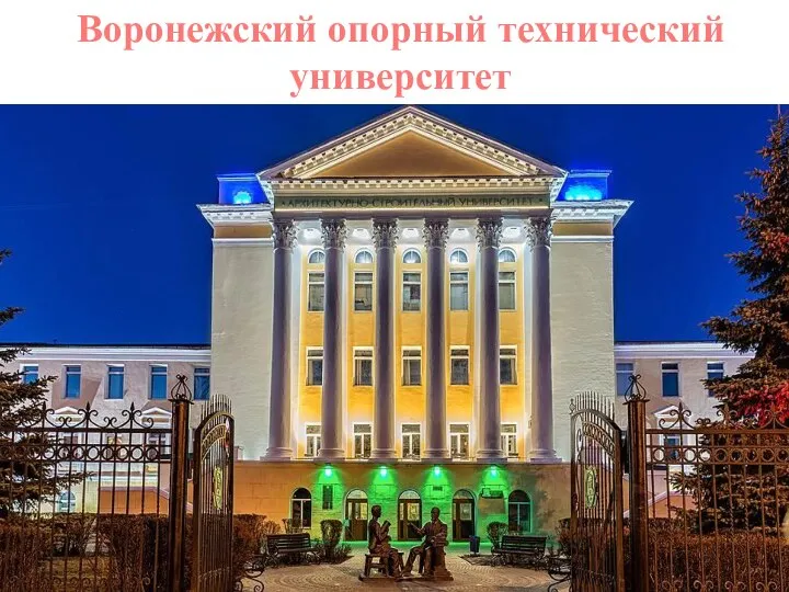 Воронежский опорный технический университет