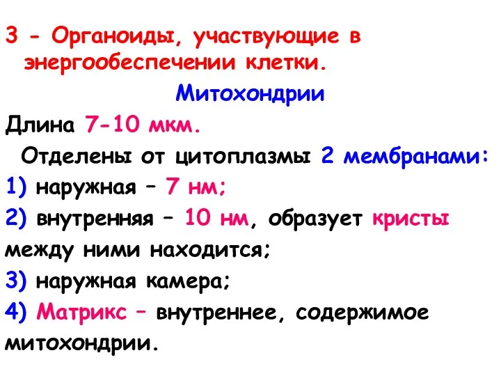 3 - Органоиды, участвующие в энергообеспечении клетки. Митохондрии Длина 7-10 мкм. Отделены