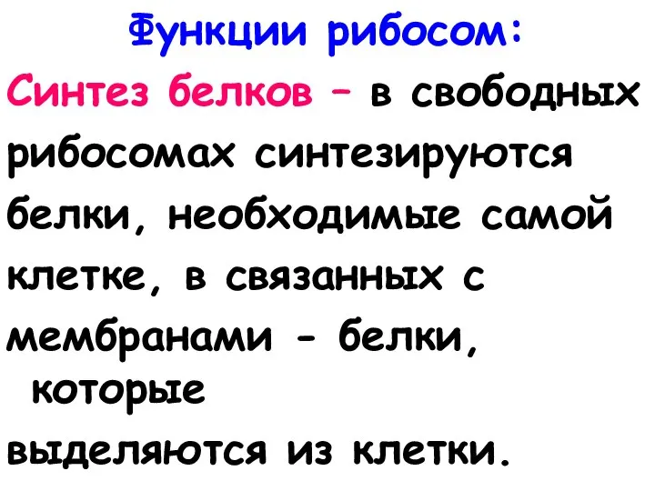 Функции рибосом: Синтез белков – в свободных рибосомах синтезируются белки, необходимые самой