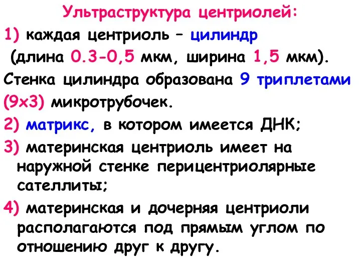 Ультраструктура центриолей: 1) каждая центриоль – цилиндр (длина 0.3-0,5 мкм, ширина 1,5