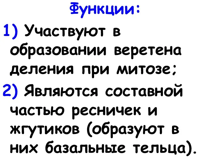 Функции: 1) Участвуют в образовании веретена деления при митозе; 2) Являются составной