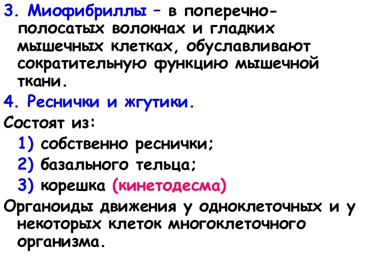 3. Миофибриллы – в поперечно-полосатых волокнах и гладких мышечных клетках, обуславливают сократительную