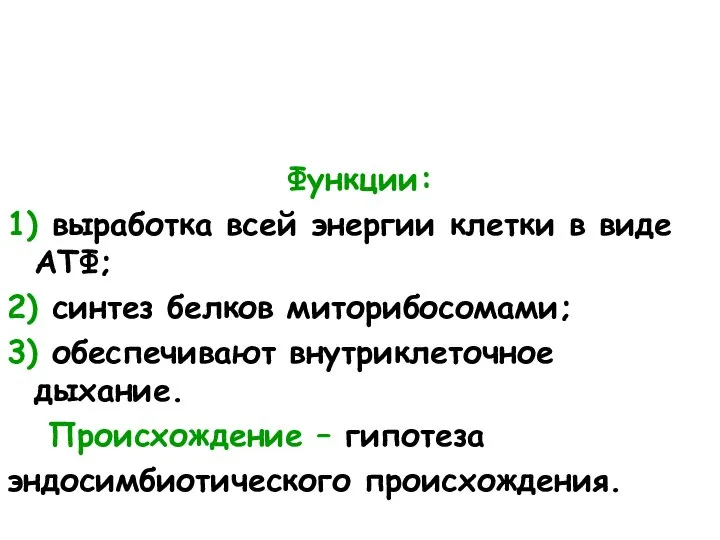 Функции: 1) выработка всей энергии клетки в виде АТФ; 2) синтез белков