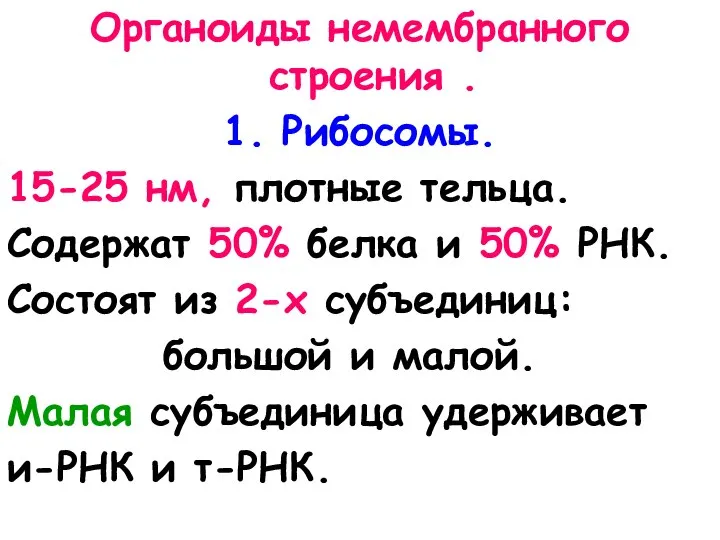 Органоиды немембранного строения . 1. Рибосомы. 15-25 нм, плотные тельца. Содержат 50%