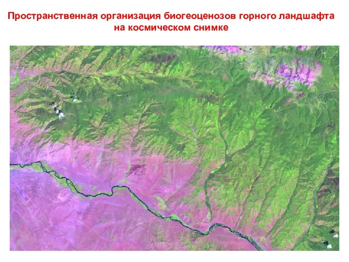 Пространственная организация биогеоценозов горного ландшафта на космическом снимке