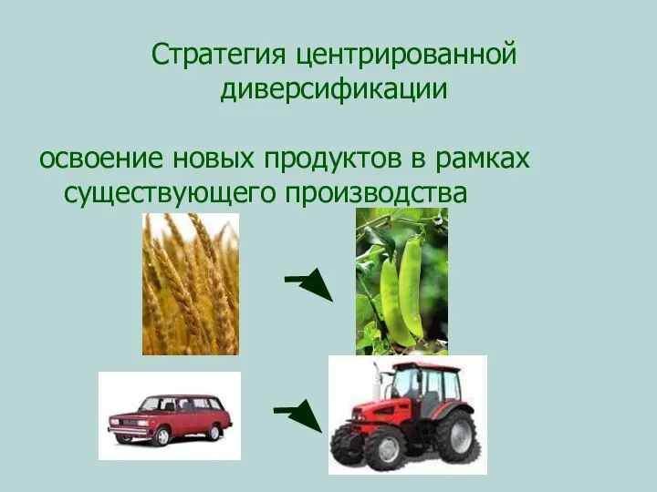 Стратегия центрированной диверсификации освоение новых продуктов в рамках существующего производства