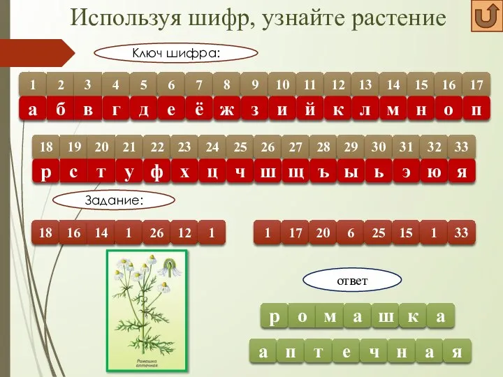 Используя шифр, узнайте растение 1 2 3 4 5 6 7 8