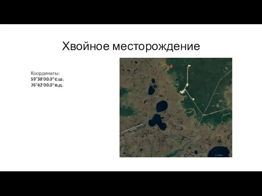 Хвойное месторождение Координаты: 59°38'00.0"с.ш. 76°42'00.0"в.д.