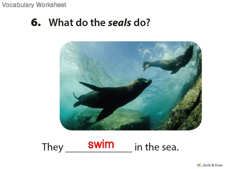 swim Vocabulary Worksheet