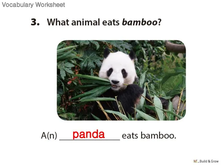 panda Vocabulary Worksheet