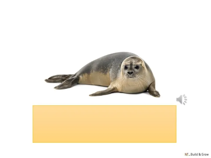 seal