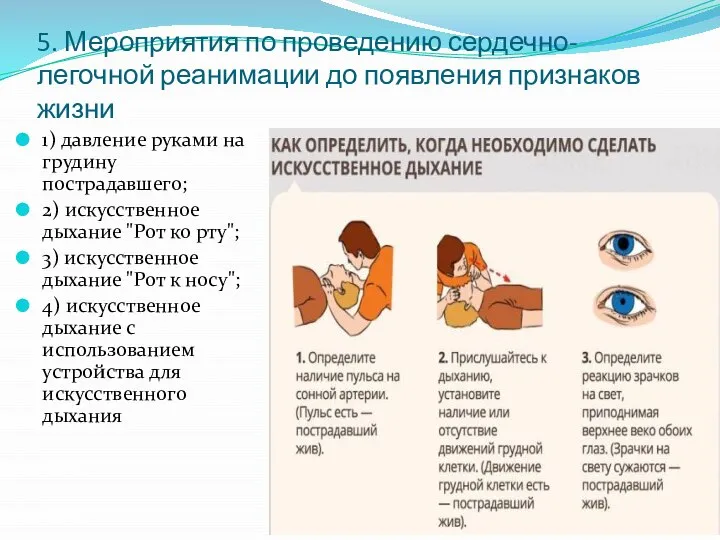 5. Мероприятия по проведению сердечно-легочной реанимации до появления признаков жизни 1) давление