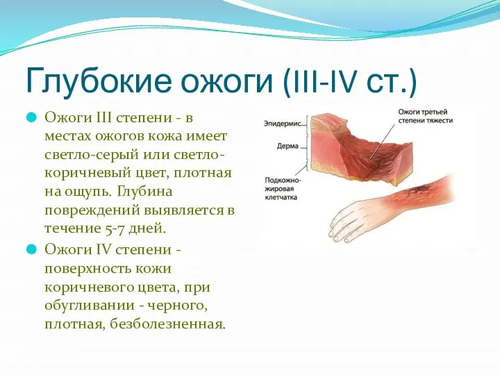 Глубокие ожоги (III-IV ст.) Ожоги III степени - в местах ожогов кожа