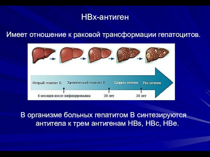 НВх-антиген Имеет отношение к раковой трансформации гепатоцитов. В организме больных гепатитом В