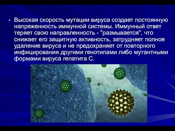 Высокая скорость мутации вируса создает постоянную напряженность иммунной системы. Иммунный ответ теряет