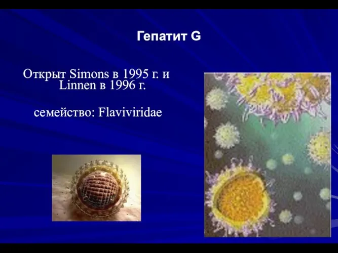 Гепатит G Открыт Simons в 1995 г. и Linnen в 1996 г. семейство: Flaviviridae