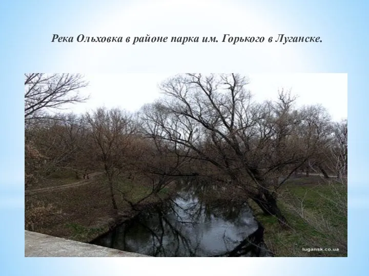 Река Ольховка в районе парка им. Горького в Луганске.