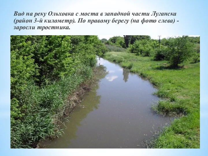 Вид на реку Ольховка с моста в западной части Луганска (район 3-й