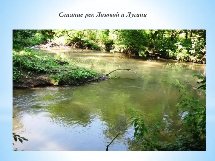 Слияние рек Лозовой и Лугани
