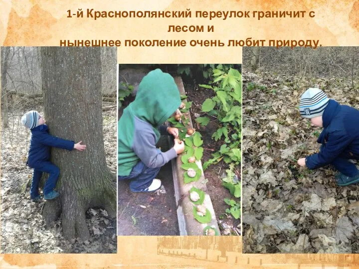1-й Краснополянский переулок граничит с лесом и нынешнее поколение очень любит природу.
