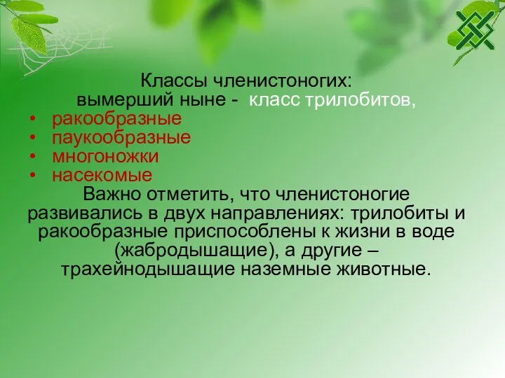 Классы членистоногих: вымерший ныне - класс трилобитов, ракообразные паукообразные многоножки насекомые Важно