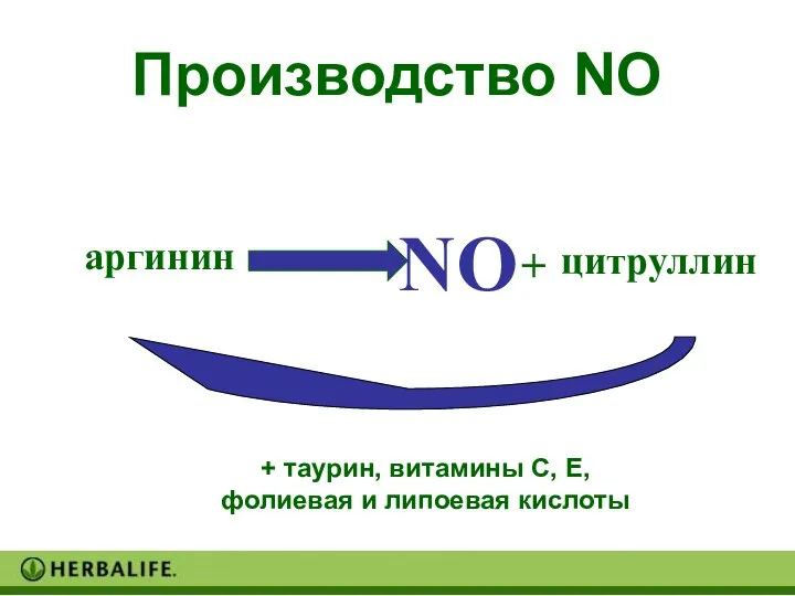 Производство NO аргинин цитруллин + NO + таурин, витамины С, Е, фолиевая и липоевая кислоты