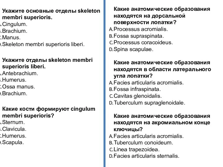 Укажите основные отделы skeleton membri superioris. Cingulum. Brachium. Manus. Skeleton membri superioris