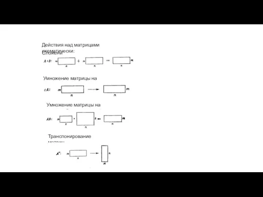 Действия над матрицами схематически: Сложение Умножение матрицы на число Умножение матрицы на матрицу Транспонирование матриц
