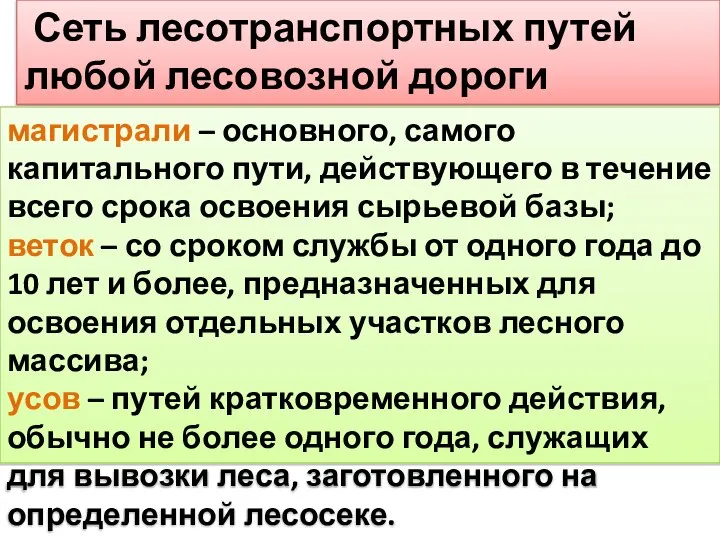 Сеть лесотранспортных путей любой лесовозной дороги состоит из: магистрали – основного, самого