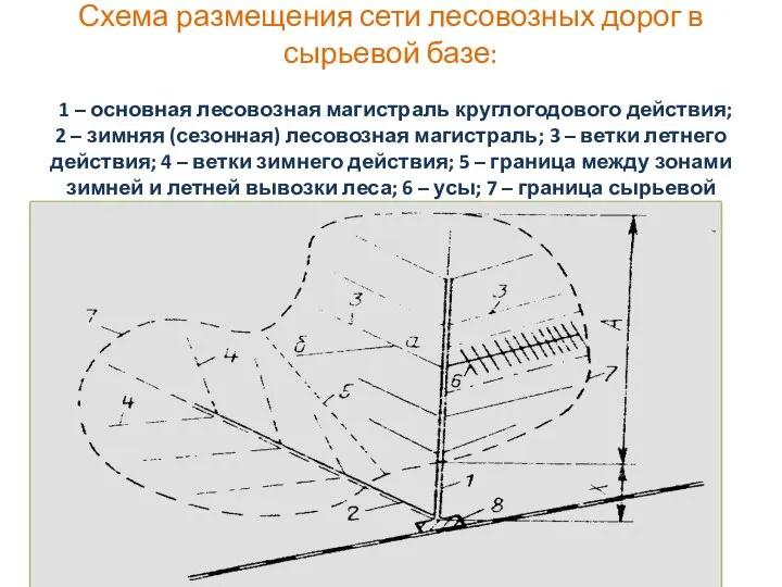 Схема размещения сети лесовозных дорог в сырьевой базе: 1 – основная лесовозная