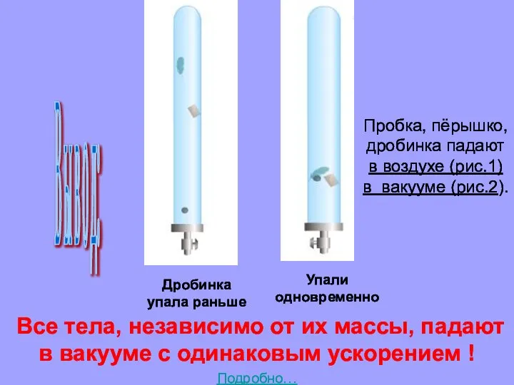 Все тела, независимо от их массы, падают в вакууме с одинаковым ускорением