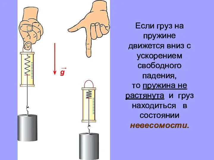 Если груз на пружине движется вниз с ускорением свободного падения, то пружина