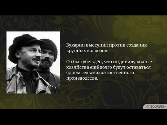 Бухарин выступил против создания крупных колхозов. Он был убеждён, что индивидуальные хозяйства