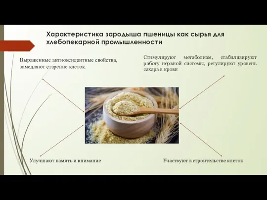 Характеристика зародыша пшеницы как сырья для хлебопекарной промышленности Выраженные антиоксидантные свойства, замедляют