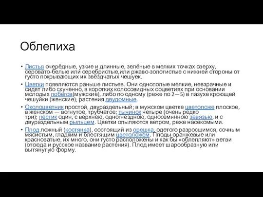 Облепиха Листья очерёдные, узкие и длинные, зелёные в мелких точках сверху, серовато-белые