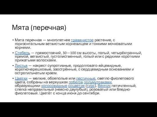 Мята (перечная) Мята перечная — многолетнее травянистое растение, с горизонтальным ветвистым корневищем