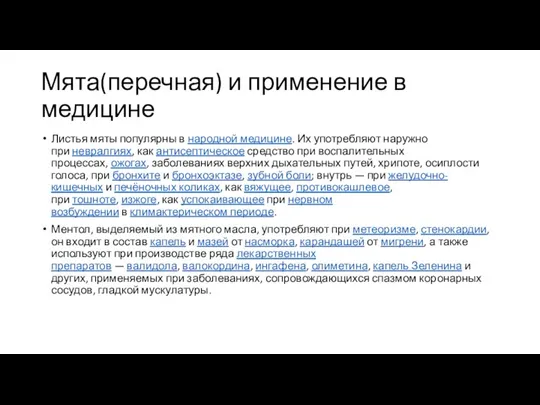 Мята(перечная) и применение в медицине Листья мяты популярны в народной медицине. Их