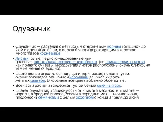 Одуванчик Одуванчик — растение с ветвистым стержневым корнем толщиной до 2 см