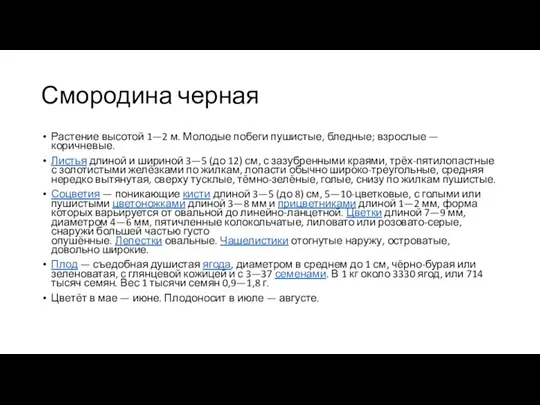 Смородина черная Растение высотой 1—2 м. Молодые побеги пушистые, бледные; взрослые —