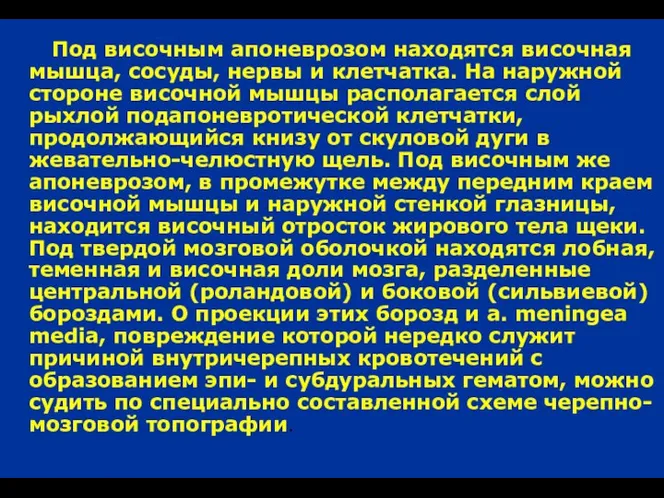 Под височным апоневрозом находятся височная мышца, сосуды, нервы и клетчатка. На наружной