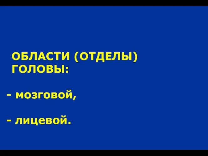 ОБЛАСТИ (ОТДЕЛЫ) ГОЛОВЫ: мозговой, лицевой.