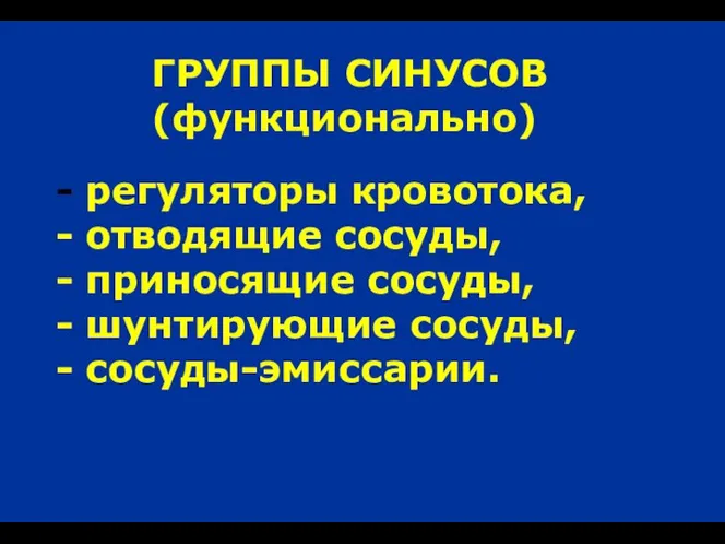 ГРУППЫ СИНУСОВ (функционально) регуляторы кровотока, отводящие сосуды, приносящие сосуды, шунтирующие сосуды, сосуды-эмиссарии.