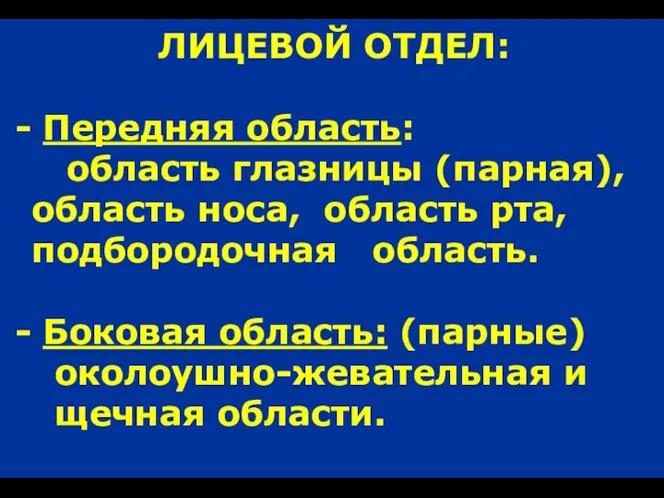 ЛИЦЕВОЙ ОТДЕЛ: Передняя область: область глазницы (парная), область носа, область рта, подбородочная