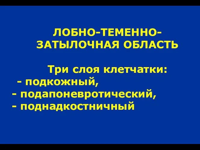 ЛОБНО-ТЕМЕННО-ЗАТЫЛОЧНАЯ ОБЛАСТЬ Три слоя клетчатки: - подкожный, подапоневротический, поднадкостничный