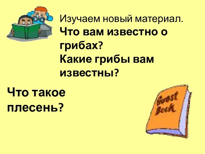 Изучаем новый материал. Что вам известно о грибах? Какие грибы вам известны? Что такое плесень?